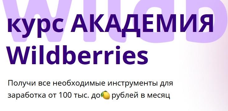 Курс Академия Wildberries. Тариф Бронза (Шахноза Борбут, Виталий Борбут)