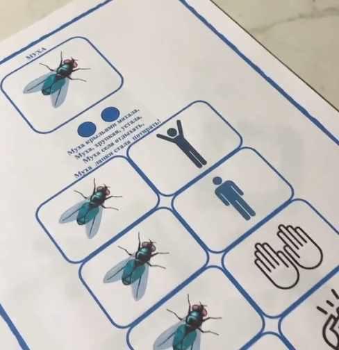 [Логопед Печоры] Материалы для логопедов: запуск речи, слоговая, грамматика (Оксана Вайнгольц)