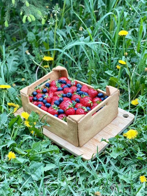 [anastasiya_bakery] Видеоурок Ящик с клубникой (Анастасия Политыкина)