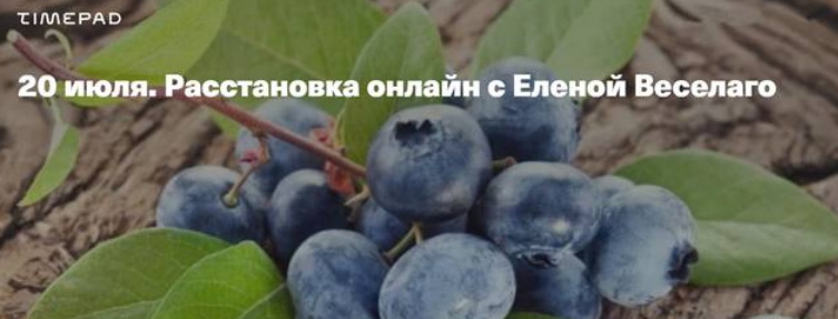 20 июля. Расстановка онлайн (Елена Веселаго)