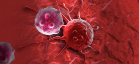 [Архэ] Почему так дорого? Больные клетки: основы биологии рака (Мария Кондратова)