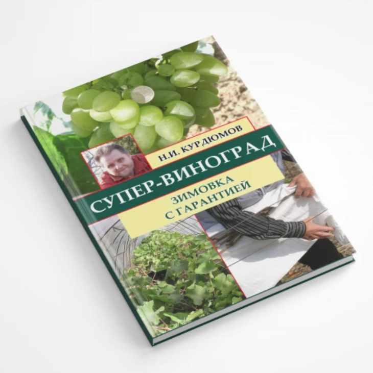 Супер-виноград. Навык 10 Зимовка с гарантией (Николай Курдюмов)