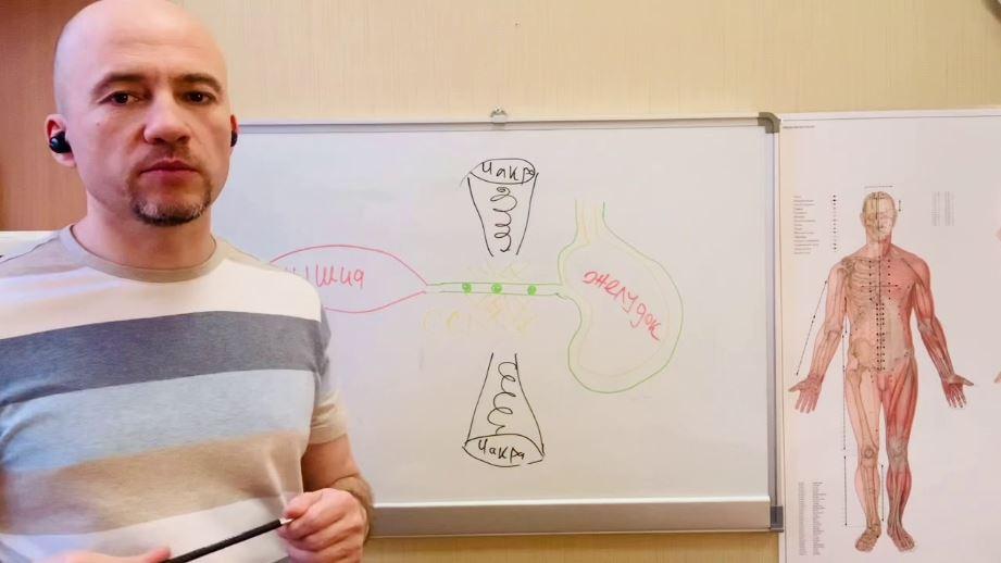 Доступная кинезиология II. Многомерный баланс человека (Максим Мальцев)