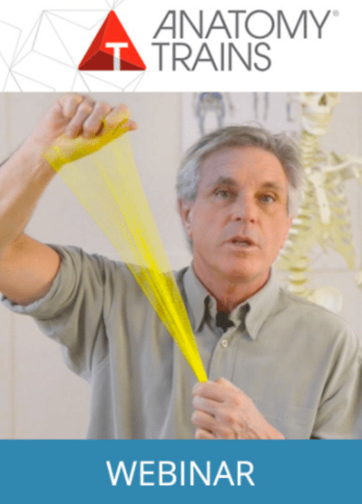 Фасция в движении (Том Маерс)