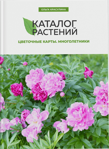Каталог растений. Цветочные карты. Многолетники (Ольга Красулина)