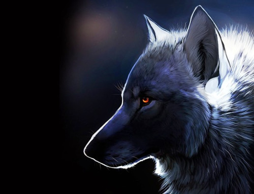 [Волшебный Лотос] Nigrum Ignis in Lupus. Черный огонь волка (Лавиния)