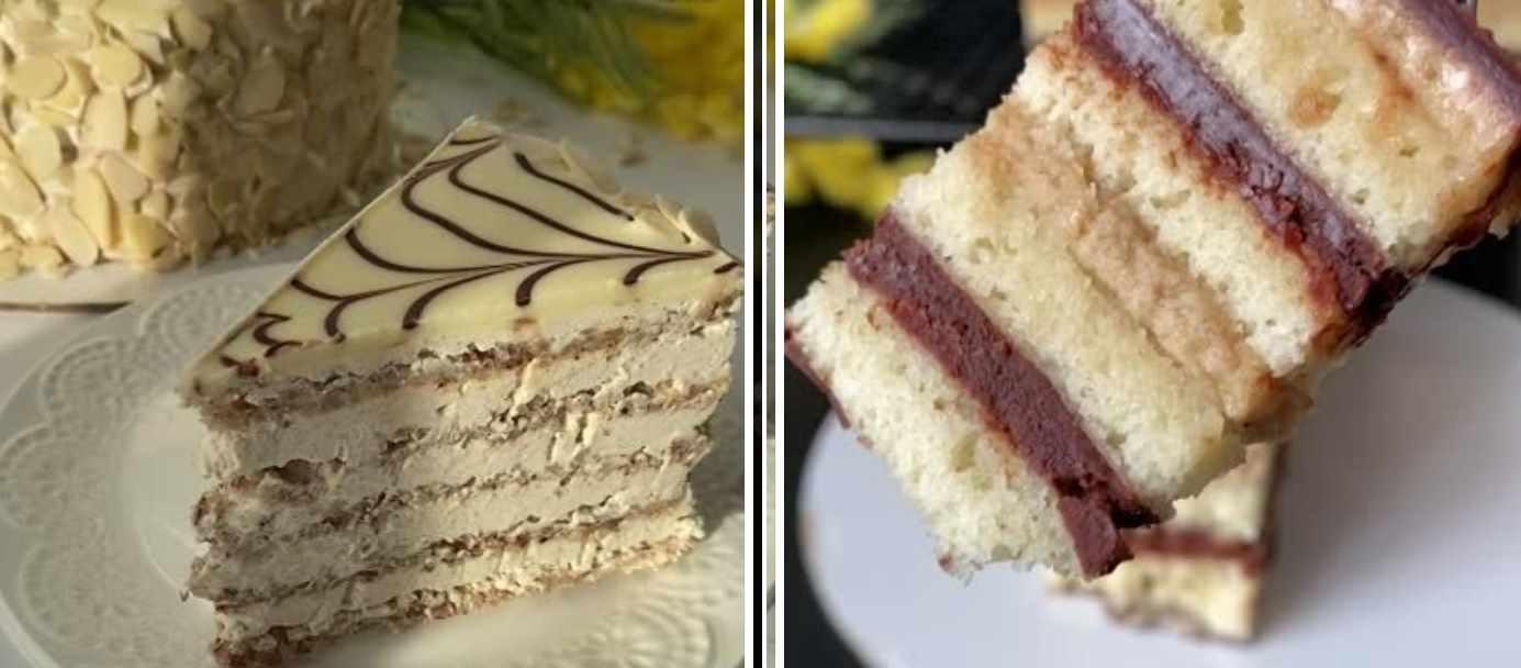 Торт Эстерхази и торт Опера (Олеся Шубина)