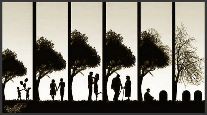 [Школа РФК] Скорость роста и долговечность (Александр Сапелин)