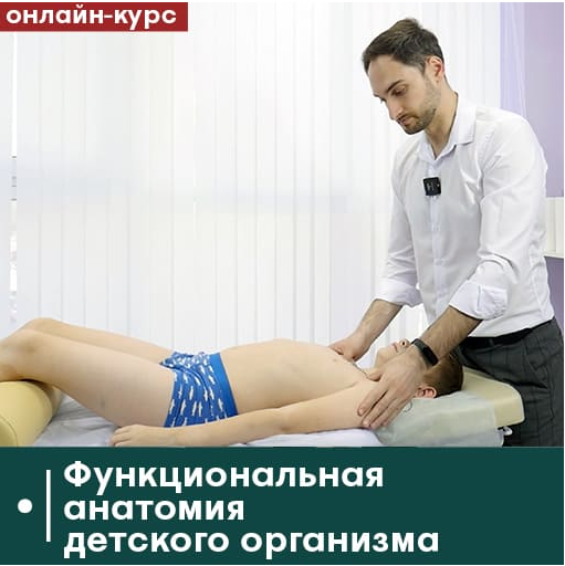 Функциональная анатомия детского организма (Евгений Ковалевский)