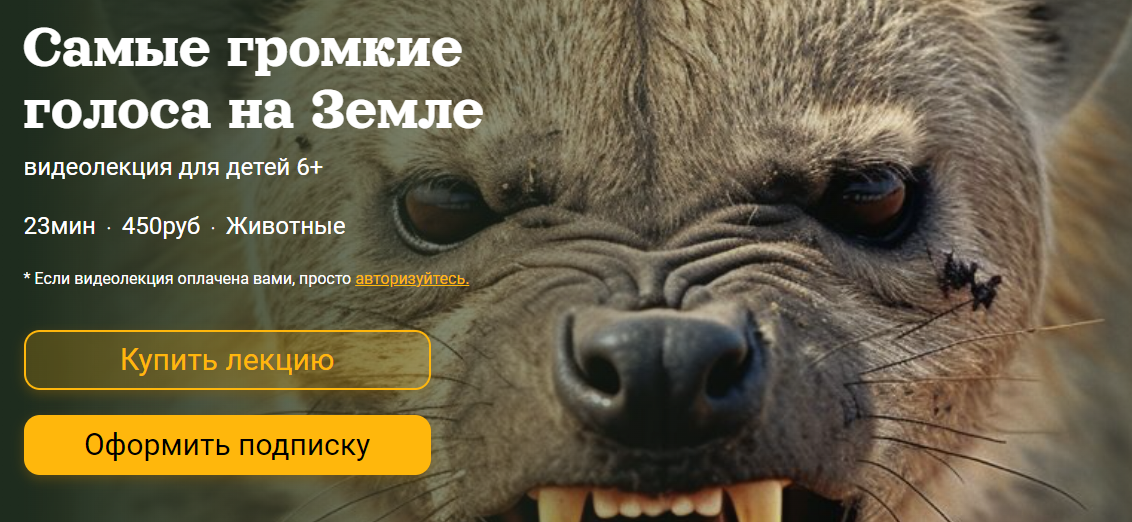 Самые громкие голоса на Земле (Александр Толмачев)