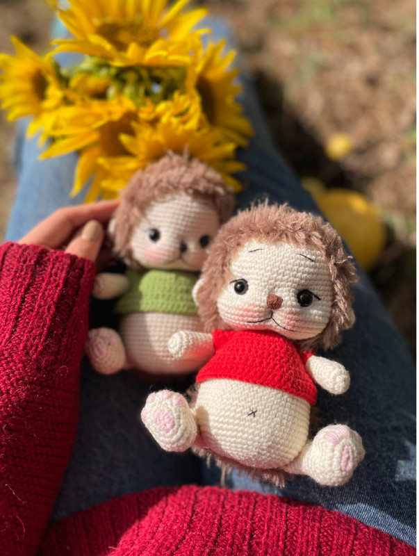 Ёжик Тотто (Карина Идиятуллина)