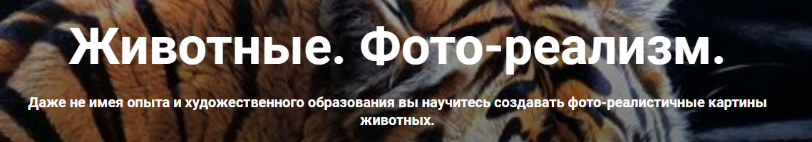 Животные. Фото-реализм. Тариф Стандарт (Александр Шатале)
