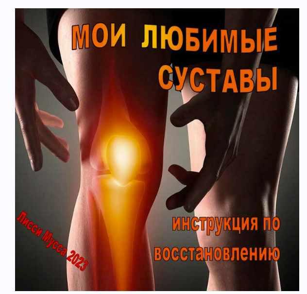 Мои любимые суставы. Инструкция по восстановлению (Лисси Мусса)
