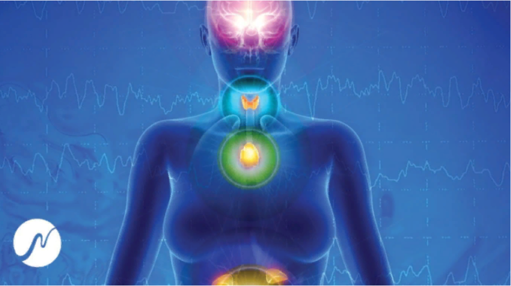 [neowake Biofrequencies] Омоложение эндокринной системы. Шишковидная железа, щитовидная железа, надпочечники - 537 Гц