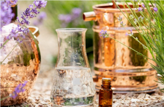 [Центр Шерома] 47 способов применения гидролатов (Ульвия Голденбрук)