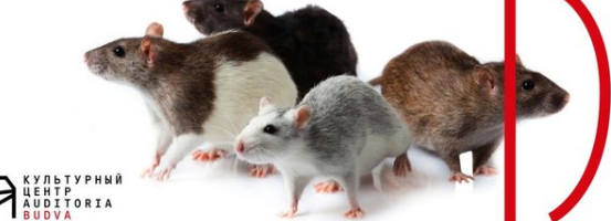 [Архэ] На пути к Animal free science (Владимир Попов)