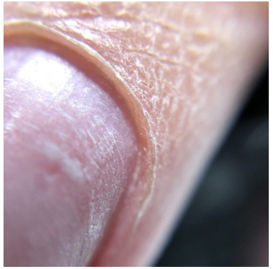 [parisnail] Вебинар "Идеальный карман" (Ксения Ткачук)