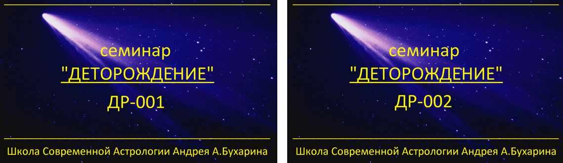 Деторождение (Андрей Бухарин)