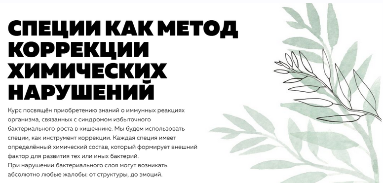 [nl-school] Специи, как метод коррекции химических нарушений  (Кирилл Копыльцов)