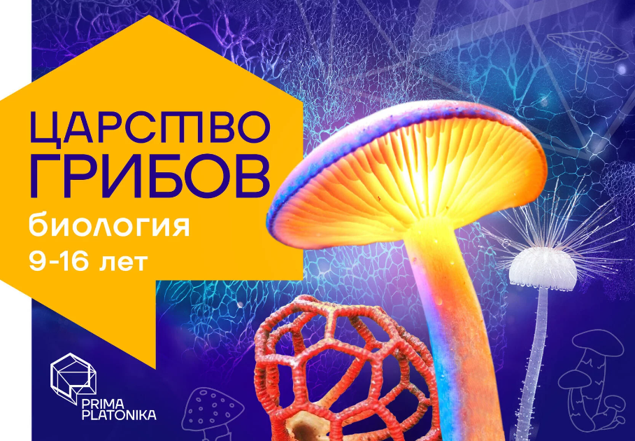 Царство грибов. Курс о самых необычных организмах на планете (Владимир Гмошинский)
