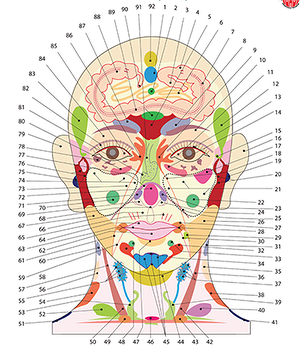 Диагностика по проекционным зонам на теле человека.(Огулов Александр), фото 1 из 1.