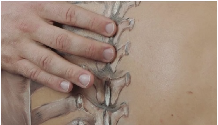 Пальпационная анатомия. Нижняя конечность: бедро, колено, голень, стопа. Часть 3 из 3 (Марьян Маджицкий)