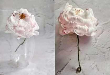 Вафельный пион (Ольга Куликова) @kulik_ova