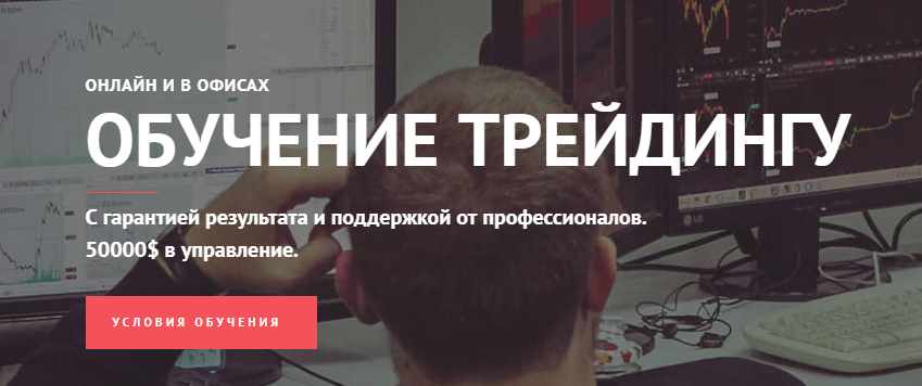 [Dolphin Traders] Торговля по трендовым паттернам, тренду и разворотные паттерны (Тимофей Пирогов)