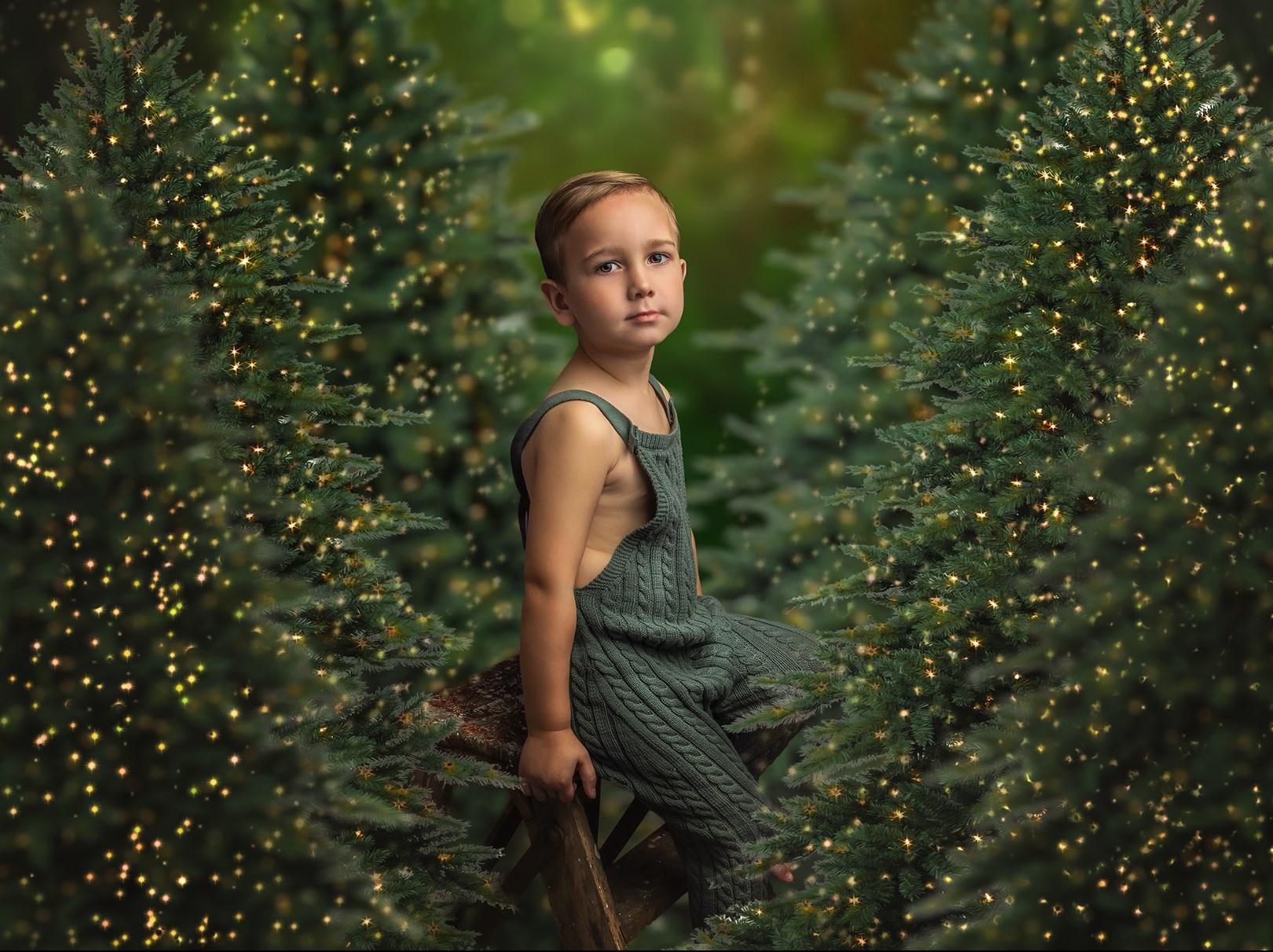 [sweetsoulstudios] Рождественские деревья / Christmas Trees PSD