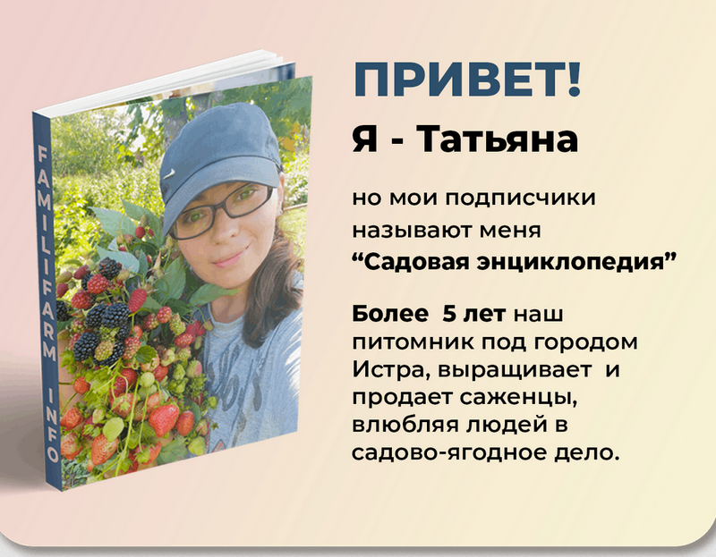 Практикум "Посадка голубики" (Татьяна Холомьёва)