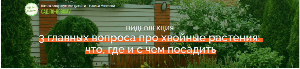 3 главных вопроса про хвойные растения: что, где и с чем посадить  (Наталья Мягкова)