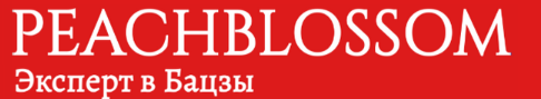 Бацзы. Блок Статей № 11 (Татьяна Владимирова)