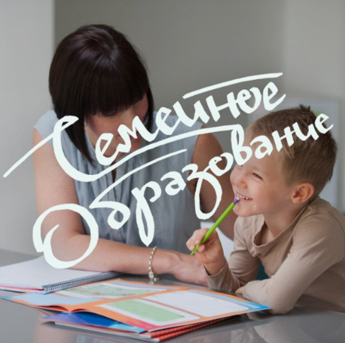 Иной выбор. Теория и практика семейного образования (Елизавета Колобова)