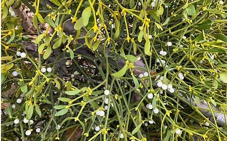 Праздники года. Oстaрa - Вeсeннee Равнодeнствиe 2015 (Лaрисa Кузнецoвa-Фeтисoвa)