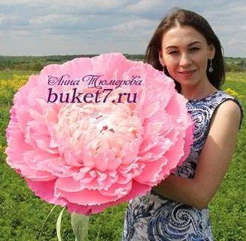 Гигантский пион с коробкой конфет (Анна Тюмерова)