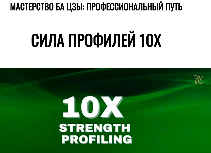 Сила профилей 10Х (Joey Yap)