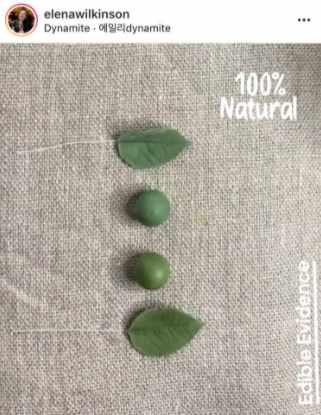 Тюльпан попугай из сахарной мастики. Май 2021 (elenawilkinson)