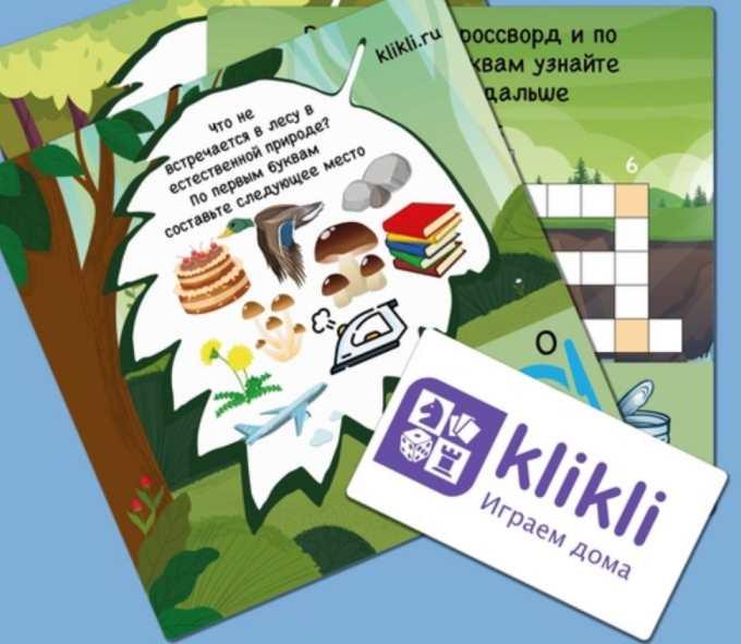 [klikli] Сценарий уличного квеста «Артефакты леса»