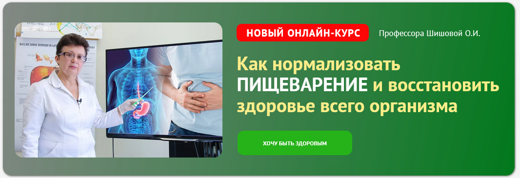 Как нормализовать пищеварение и восстановить здоровье всего организма (Ольга Шишова), фото 1 из 1.