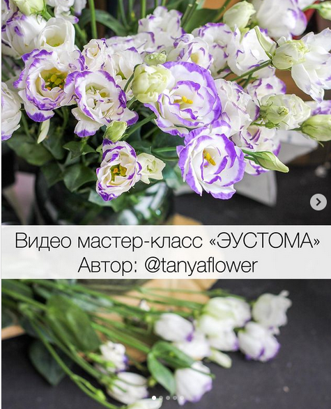 Видео мастер-класс "Эустома" (tanyaflower)