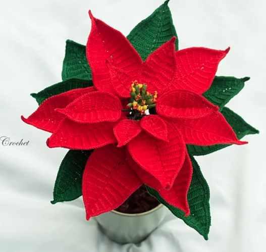 Poinsettia - Christmas Star/Пуансеттия – Рождественская звезда (HappyPattyCrochet)