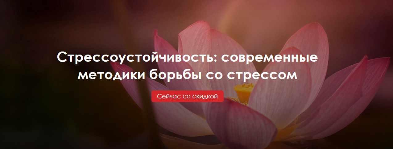 Стрессоустойчивость: современные методики борьбы со стрессом (Юлия Огаркова-Дубинская, Илья Степанов)