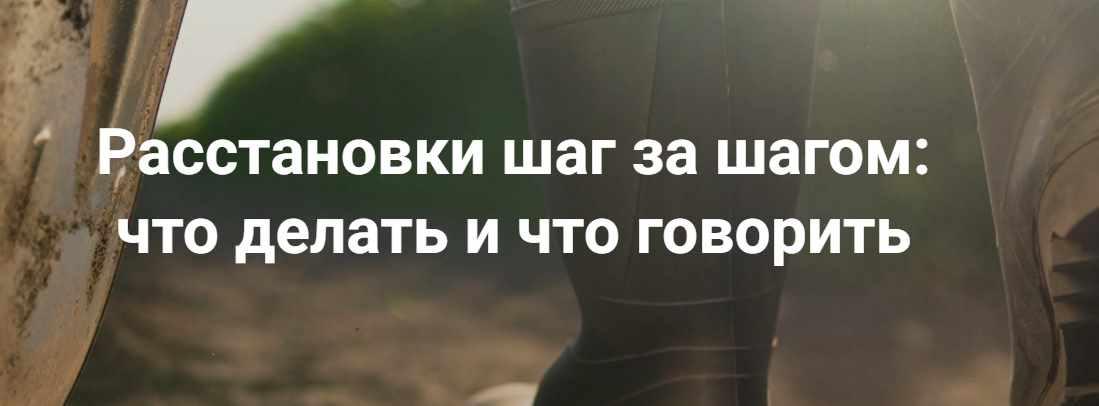 [Институт открытого поля]  Расстановки шаг за шагом: что делать и что говорить. Без места расстановщика (Елена Веселаго)