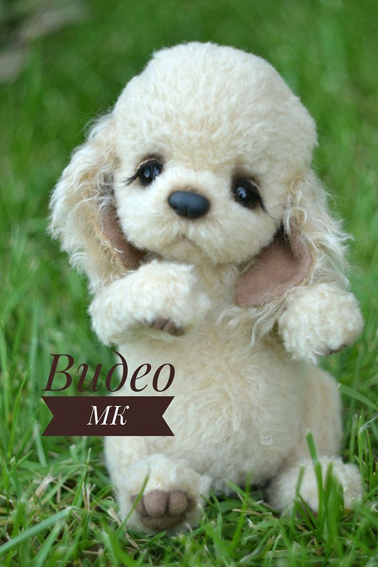 Видеокурс "Щенок Кокер спаниеля тедди" (Екатерина Николаева)