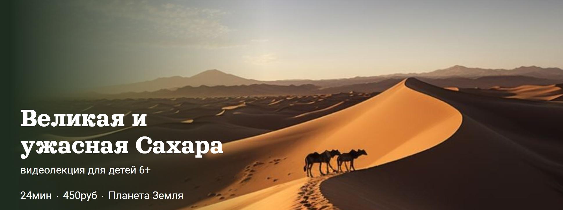 [Детский лекторий] Великая и ужасная Сахара (Александр Толмачев)