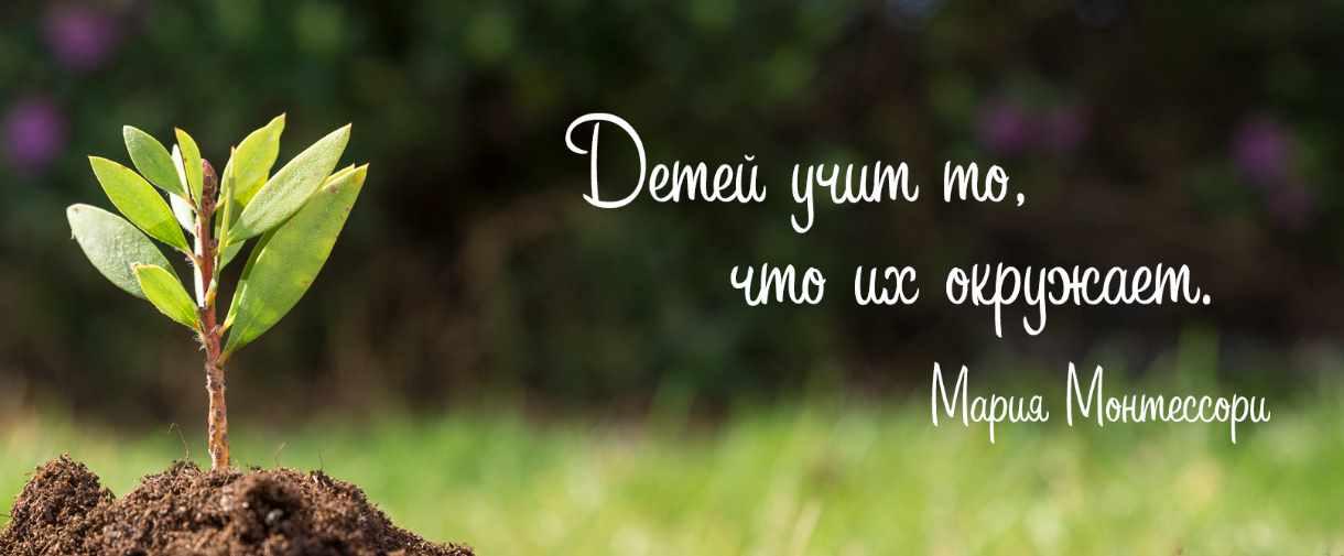 [montessori-print.store] Карточки Монтессори - цвет, пространственное мышление