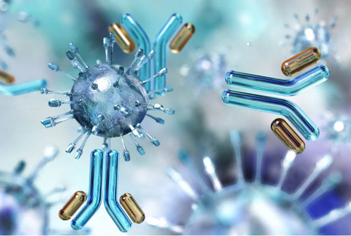 [Архэ] На переднем крае иммунологии. Т-хелперы - дирижеры иммунного ответа (Мария Кондратова)