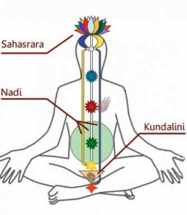 Свадхистана (Роман Зюльков)
