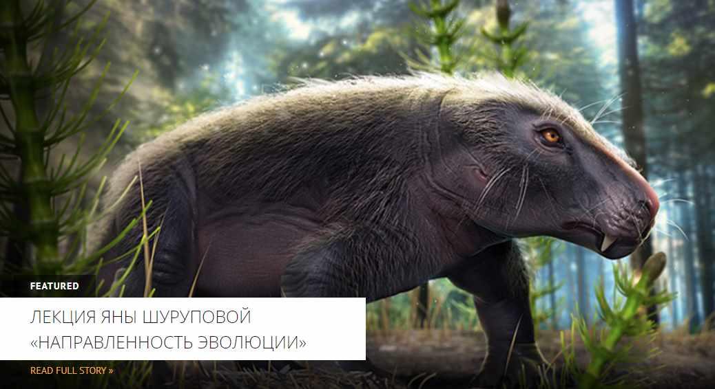 [Архэ] Направленность эволюции (Яна Шурупова)