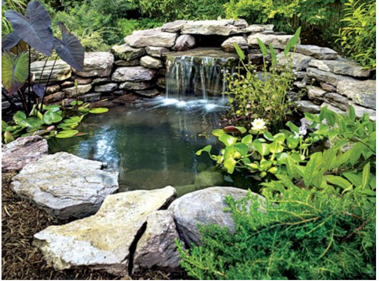 [Sadby] Красота! Водоём на участке своими руками, фото 1 из 1.